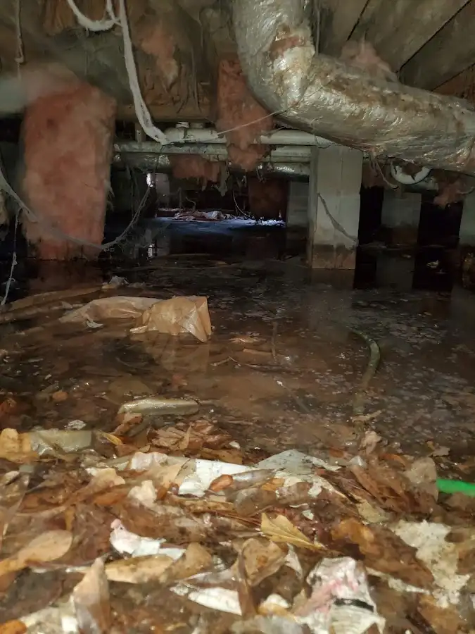 Crawl space flood assessment for Leak Detection & Repair in Goleta